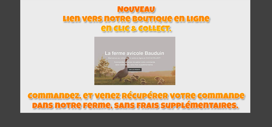 vente en ligne