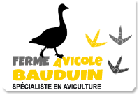 ferme bauduin