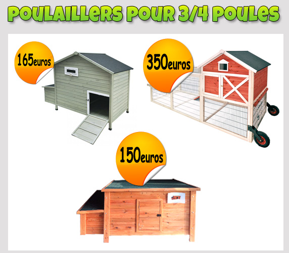 poulailler en bois